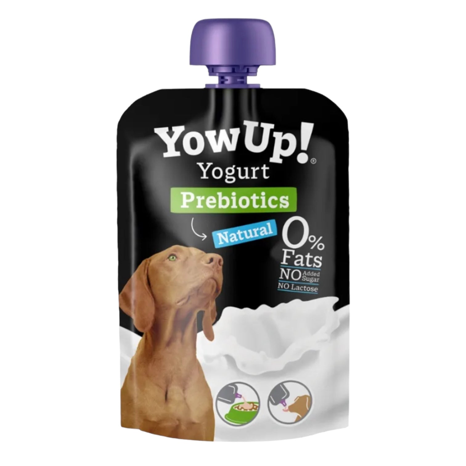 Dog probiotics yogurt hotsell