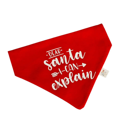 DEAR SANTA I CAN EXPLAIN BANDANA