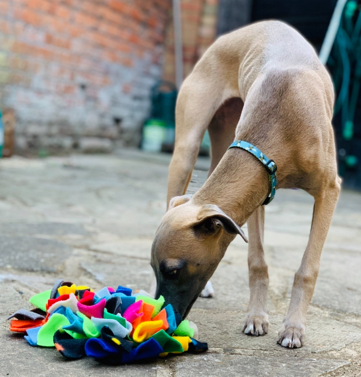 FEAST FLEECE SNUFFLE MAT