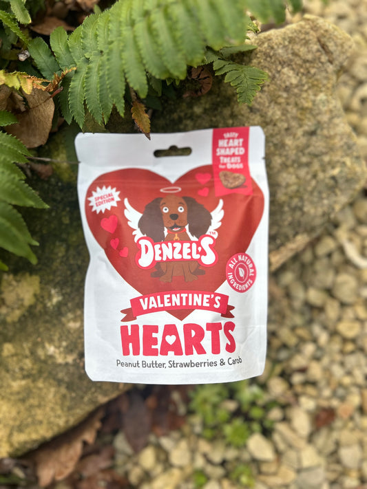 DENZEL’S VALENTINES HEARTS TRAINING TREATS