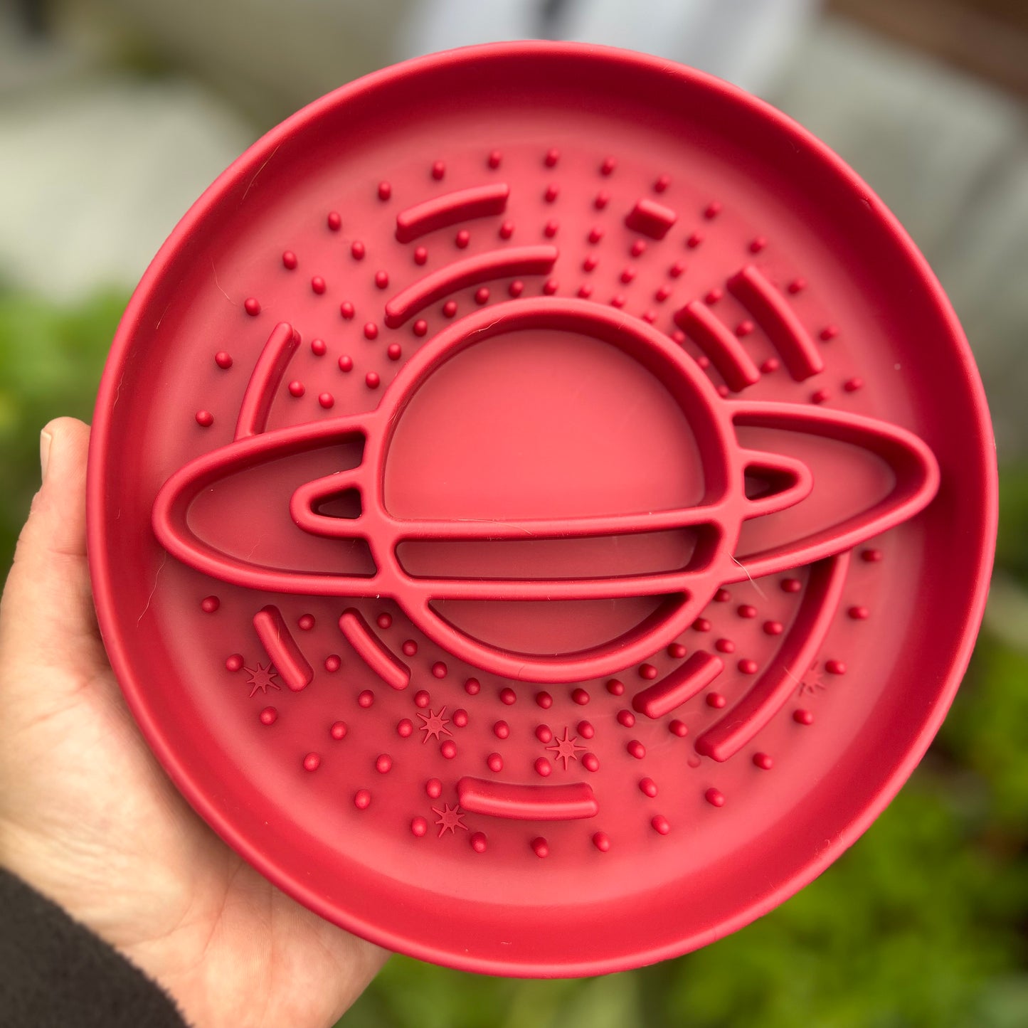 OUT OF THIS WORLD SLOW FEEDER BOWL