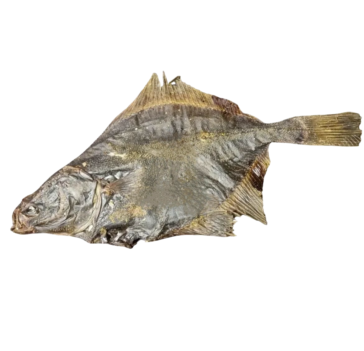 WHOLE FLOUNDER FISH