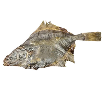 WHOLE FLOUNDER FISH