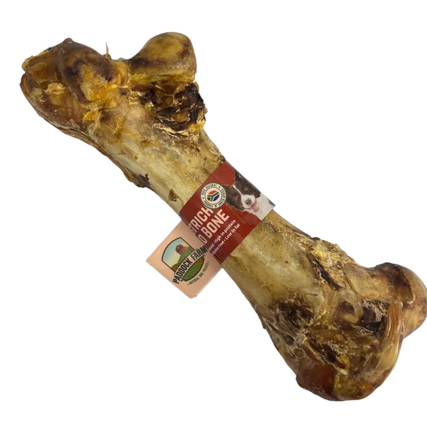 OSTRICH DINO BONE (LGE SIZE)