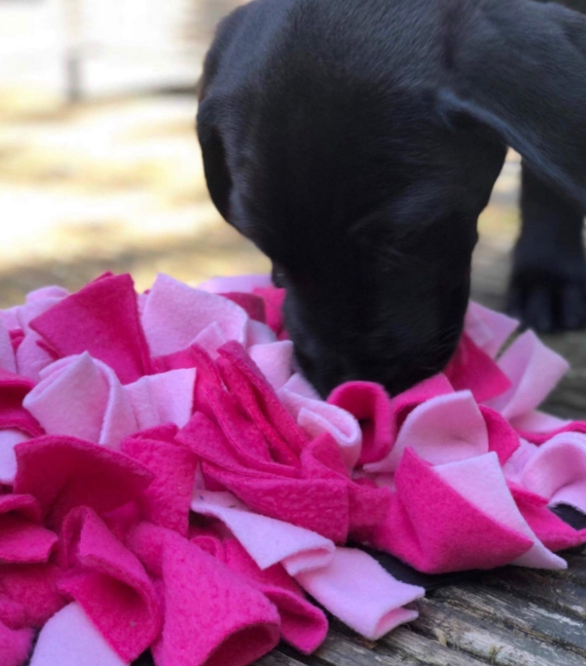 FEAST FLEECE SNUFFLE MAT