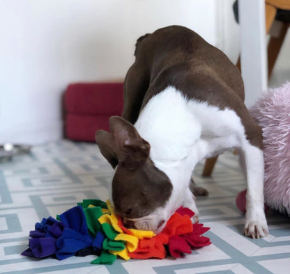 FEAST FLEECE SNUFFLE MAT