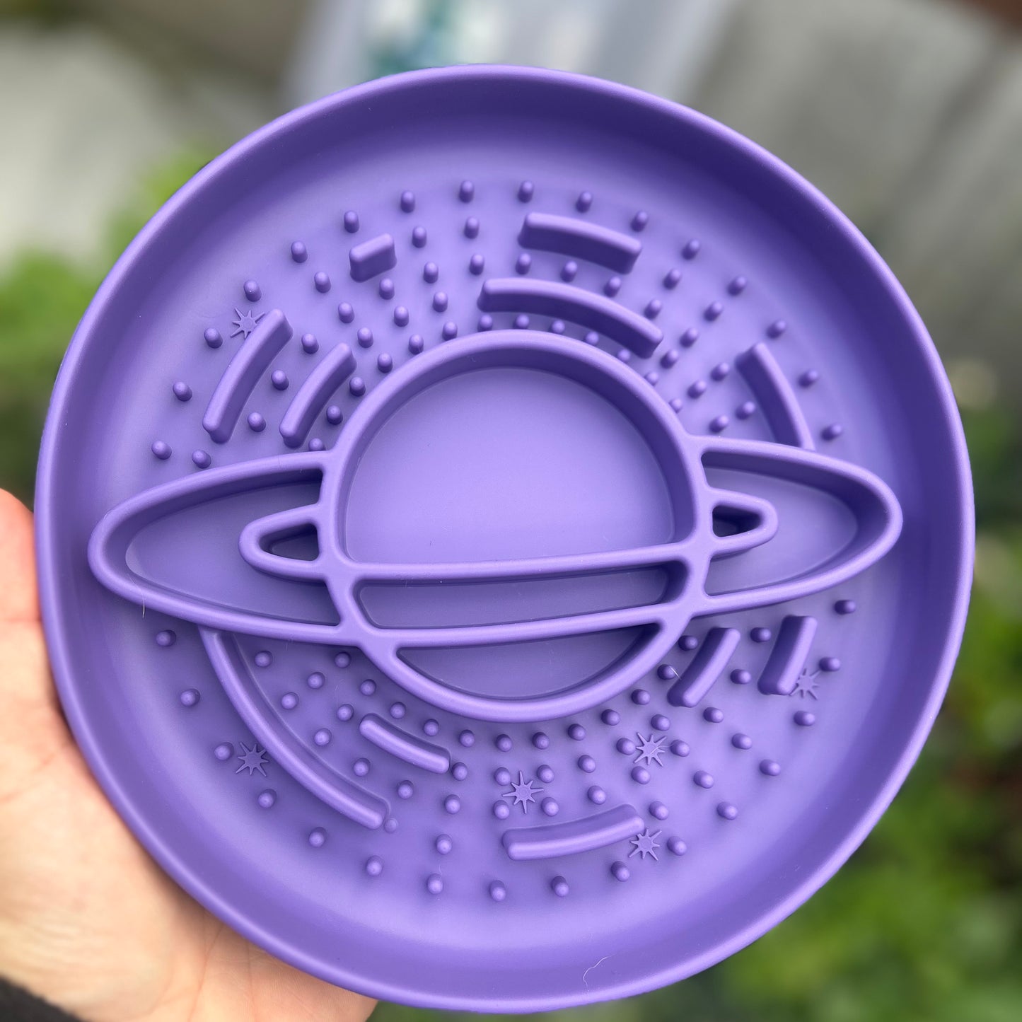 OUT OF THIS WORLD SLOW FEEDER BOWL