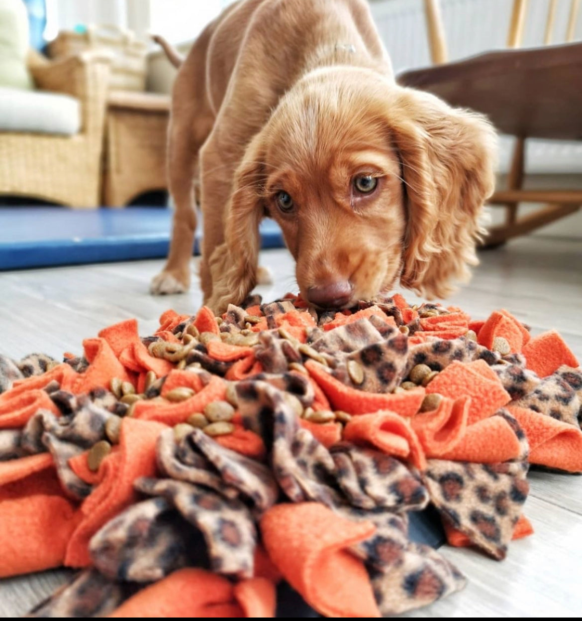 FEAST FLEECE SNUFFLE MAT