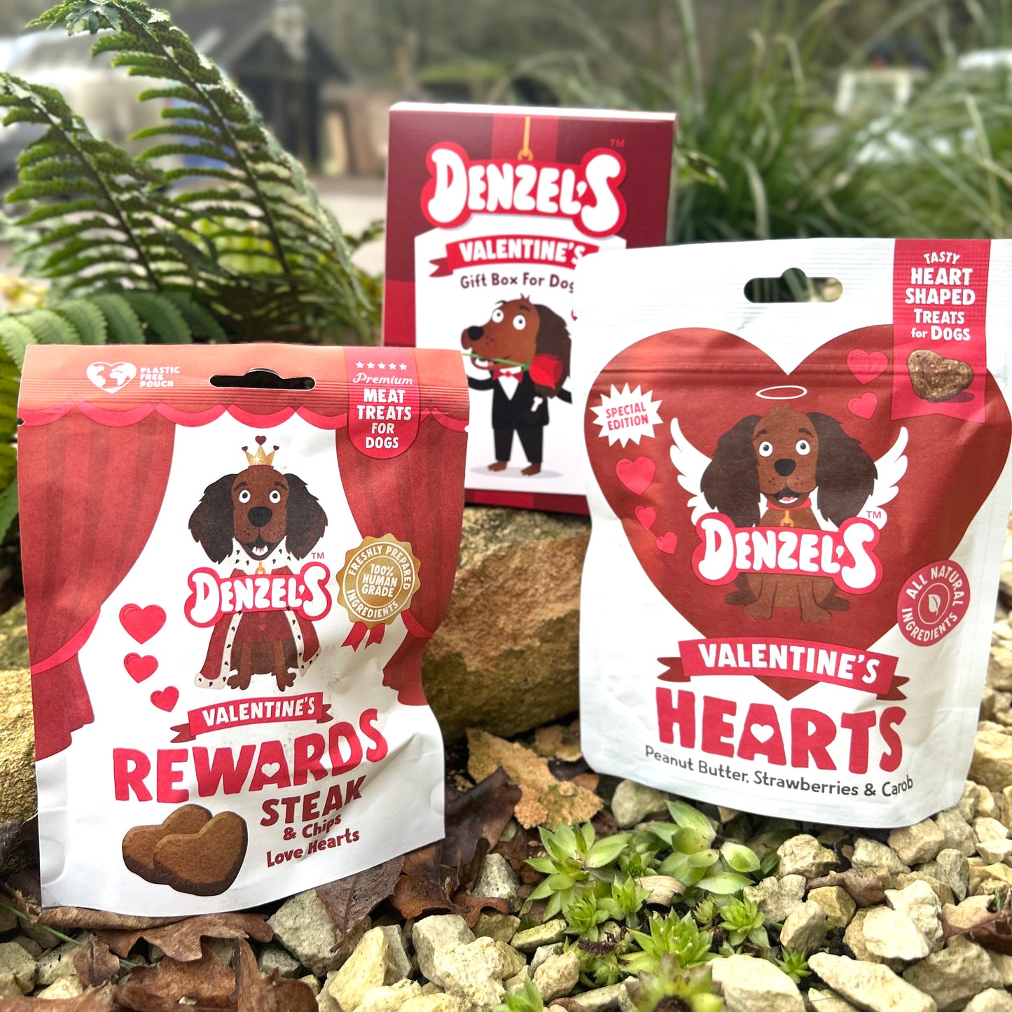 DENZEL’S BLIND DATE VALENTINES GIFT BOX