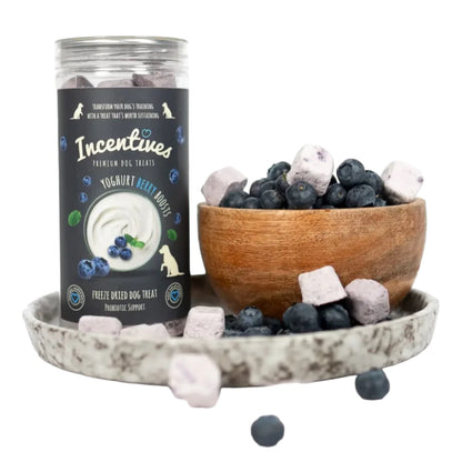 INSCENTIVES YOGHURT BERRY BOOST TRAINING TREAT MEAL TOPPER