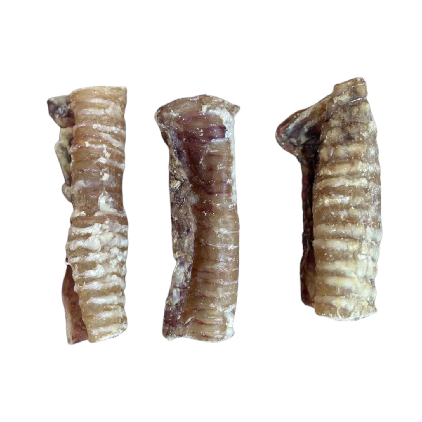 12 CM BEEF TRACHEA