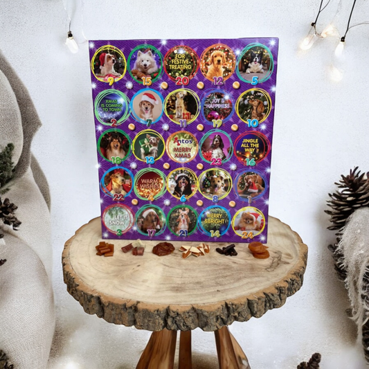 CHEWY TREAT DOG ADVENT CALENDAR