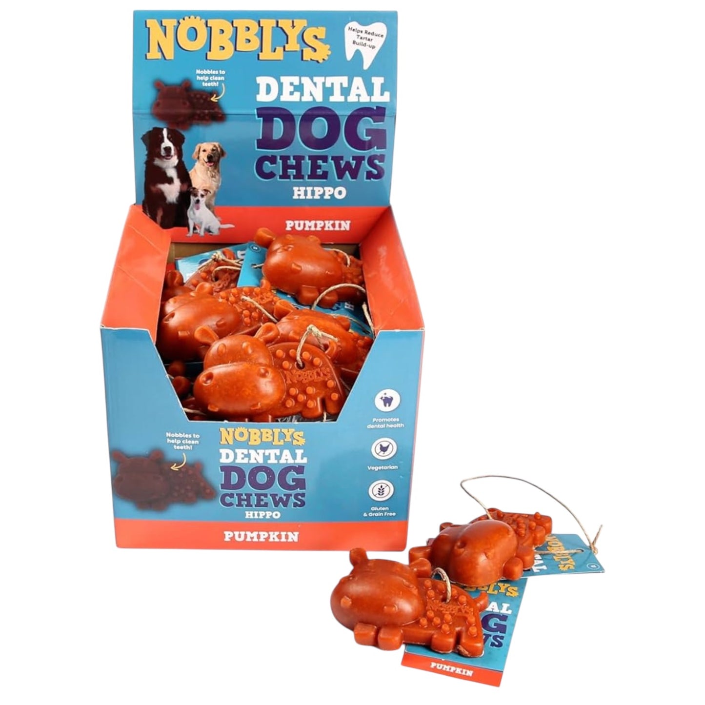 NOBBLYS VEGGIE HIPPO DENTAL DOG CHEW (PUMPKIN)