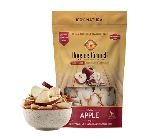 APPLE CRUNCH CHIPS